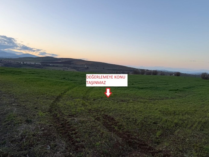 Elazığ Merkez 8593 M2 + Tarla — foto 6