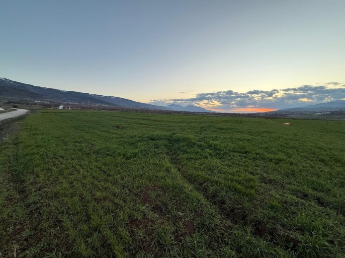 Elazığ Merkez 8593 M2 + Tarla — foto 8