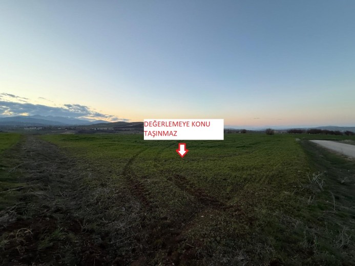 Elazığ Merkez 8593 M2 + Tarla — foto 3