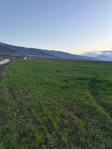 Elazığ Merkez 8593 M2 + Tarla — foto 7